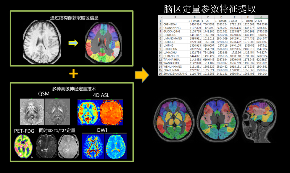 BrainQuantAll - 全脑自动定量分析模块